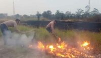 Kebakaran Lahan Kosong Makin Sering Terjadi