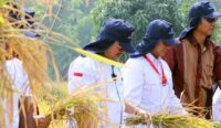 Pemkab Cirebon Jaga Lahan Pertanian