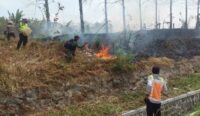 Puluhan Ribu Hektare Lahan di Majalengka Terbakar