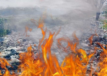 Siap-siap, Bakar Sampah Didenda Rp.50 Juta