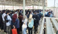 Ironi di Cirebon Timur, Tinggal di Zona Industri, Malah Kerja di Luar Daerah
