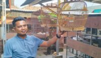 Warga Cirebon Ini Hobi Ternak Burung Perkutut, Raup Jutaan Rupiah per Bulannya