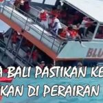Kapal Tenggelam Di Bali-Lombok, Bawa Puluhan Turis, Begini Kata Polisi