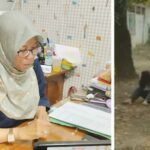 Video Viral Perundugan Ditangani Polresta Cirebon