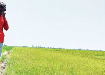 Petani di Kabupaten Cirebon Mayoritas Gurem