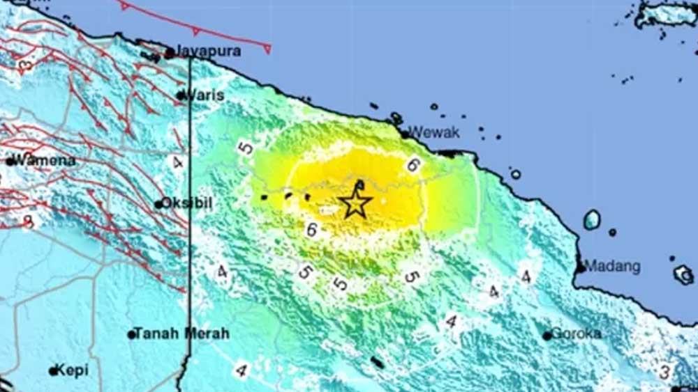 Berkekuatan dan Jam yang Sama, Papua dan Papua Nugini Diguncang Gempa Kembar