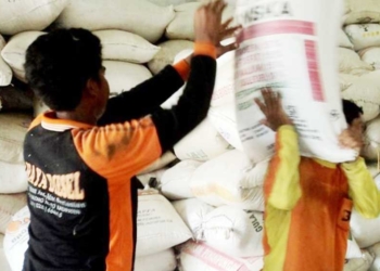 Menggila, Harga Beras Naik Lagi Tak Terkendali