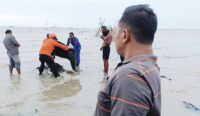 Penemuan Mayat di Cirebon, Jasad Lelaki Tanpa Identitas Mengapung di Perairan Mundupesisir