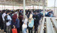 DPRD Kabupaten Cirebon Dorong Pengembangan Zona Industri, Buka Kesempatan Kerja untuk Lulusan SMA