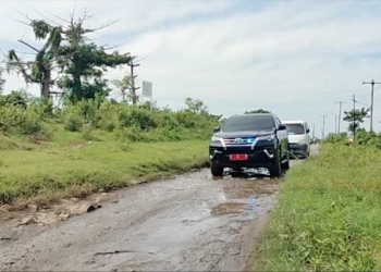 Wabup Cirebon Ayu Disambut Jalan Berlubang Saat Dampingi Kunjungan Ketua Persit Candra Kirana ke Tawangsari