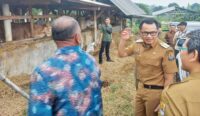 Pj Bupati Cirebon Wahyu Mijaya Tinjau KTTS Padusan, Pastikan Hewan Kurban Sehat hingga ke Masyarakat