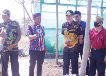 Pj Bupati Cirebon Wahyu Mijaya Tinjau Kesiapan PKK Desa Buyut