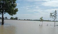 13 Desa Terdampak Banjir di Cirebon