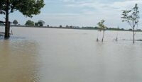Belasan Ribu Rumah Terendam Banjir di Cirebon
