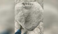 Penemuan Situs Batu Tapak Kaki Raksasa di Dalam Sumur Tua di Balongan Indramayu