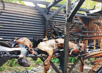 Kebakaran di Cirebon, Bakar Sampah lalu Ditinggal, 10 Kambing Mati Terpanggang