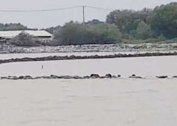 Heboh Pagar Laut, Tumpukan Batu di Gebang Cirebon Viral