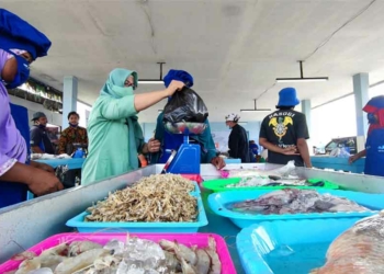 Produksi Ikan Kabupaten Cirebon Capai 44.000 Ton