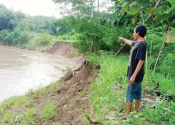 Belum Tuntas, Tebing Sungai Cimanis di Desa Beringin Cirebon Kembali Longsor