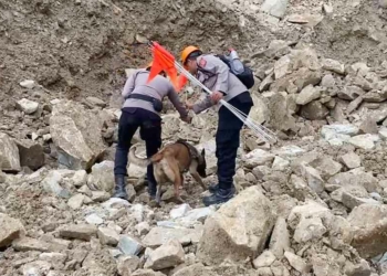 Anjing Pelacak Endus Tiga Titik, Diduga Lokasi Korban yang Masih Tertimbun Logsoran Gunung Kuda Cirebon