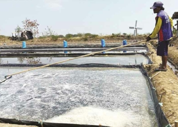 Kadisdik Kota Cirebon Bantah Ada Pungutan, Ngaku sudah Investigasi ke SMPN yang Disebut Pendemo