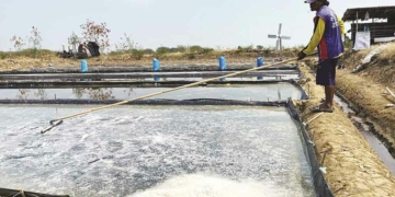 Kadisdik Kota Cirebon Bantah Ada Pungutan, Ngaku sudah Investigasi ke SMPN yang Disebut Pendemo