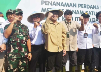 Tanam Sekali, Panen Empat Kali, Kabupaten Cirebon Jadi Daerah Pertama Peluncuran Program Tip4k KMP BP Taskin