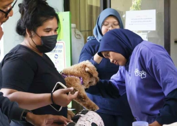 250 Hewan Peliharaan di Kabupaten Cirebon Divaksin Rabies
