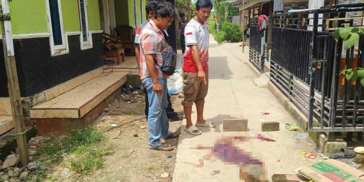 Ditikam Berkali-kali, Nyawa Ibu di Cirebon ini Selamat Berkat Lemparan HP