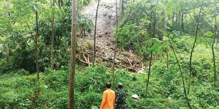 Tebing Hutan Cipanas Cirebon Longsor Tutup Akses Warga