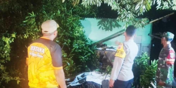 Pohon Tumbang Timpa Dua Rumah di Kerandon Cirebon