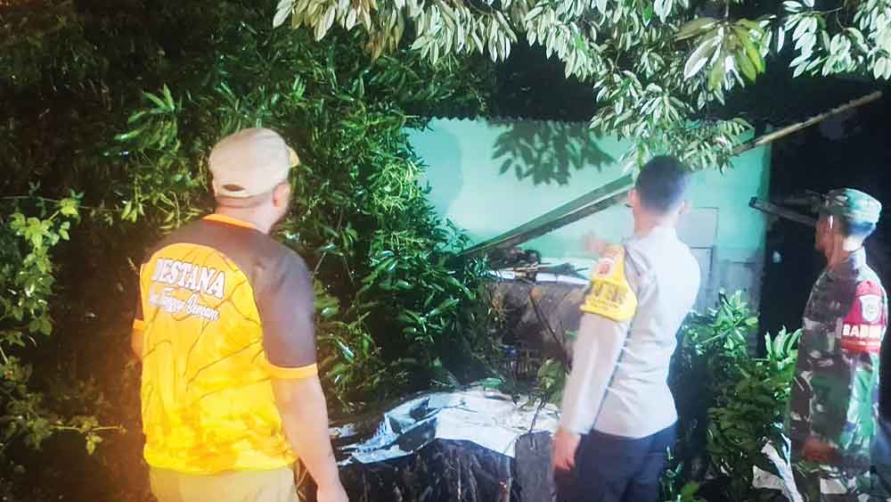 Pohon Tumbang Timpa Dua Rumah di Kerandon Cirebon