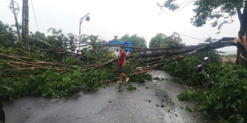Pohon Tumbang di Cirebon, Jalur Kanci-Sindanglaut Lumpuh