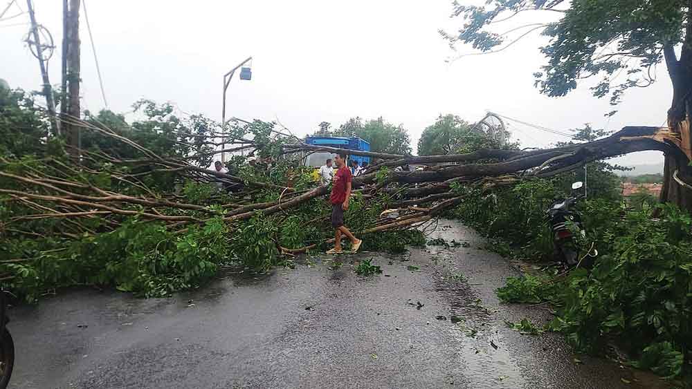 Pohon Tumbang di Cirebon, Jalur Kanci-Sindanglaut Lumpuh