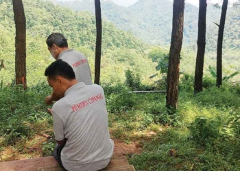 Kian Dilirik Wisatawan, Bumi Perkemahan Pasir Parat Cirebon Berudara Sejuk Khas Pengunungan Hutan Pinus