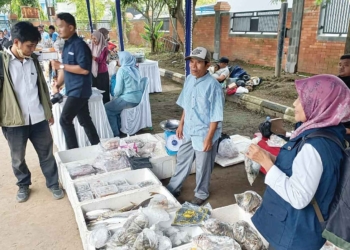 Kandungan Omega Dan Protein Tinggi, Pemkab Cirebon Edukasi Masyarakat Gemarikan