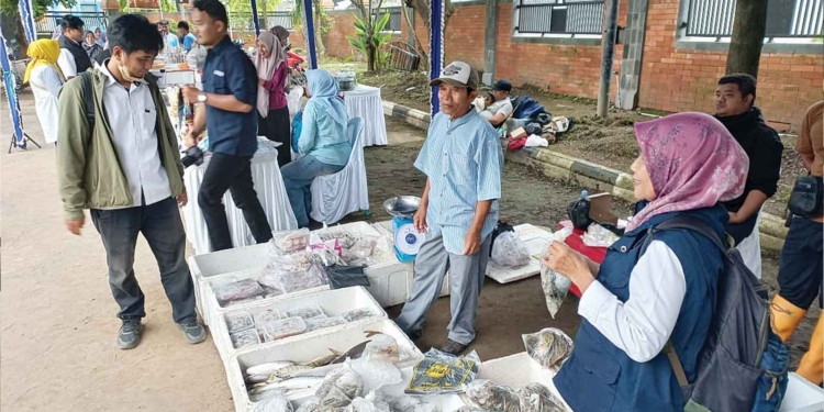 Kandungan Omega dan Protein Tinggi, Pemkab Cirebon Edukasi Masyarakat Gemarikan