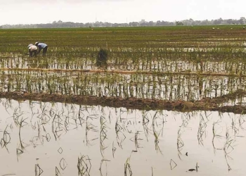Pemkab Cirebon Bahas Ulang Tata Ruang