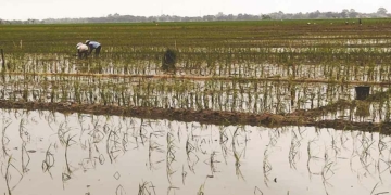 Pemkab Cirebon Bahas Ulang Tata Ruang