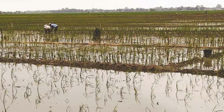 Pemkab Cirebon Bahas Ulang Tata Ruang