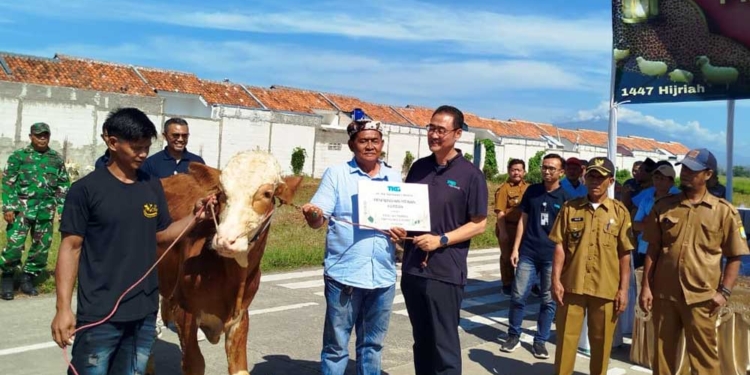 Iduladha, Pt Tkg Taekwang Cirebon Salurkan Hewan Kurban
