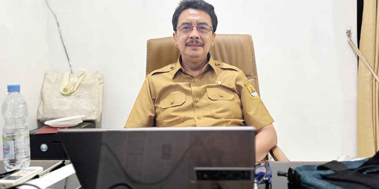 ‎Pemda Berpotensi Kurang Bayar Bpjs Kesehatan, Akibat Dukungan Keuangan Pemprov Turun Dan Tekanan Fiskal 