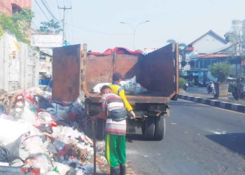 Dlh Kabupaten Cirebon Bersihkan Sampah Liar
