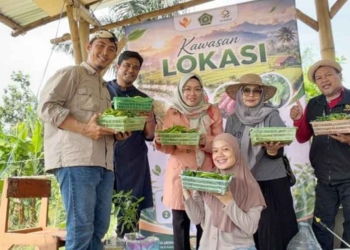 Panen Perdana 1 Ton Cabai Organik, Riset UIN Siber Cirebon Dukung Ketahanan Pangan 1 Panen Perdana 1 Ton Cabai Organik, Riset Uin Siber Cirebon Dukung Ketahanan Pangan