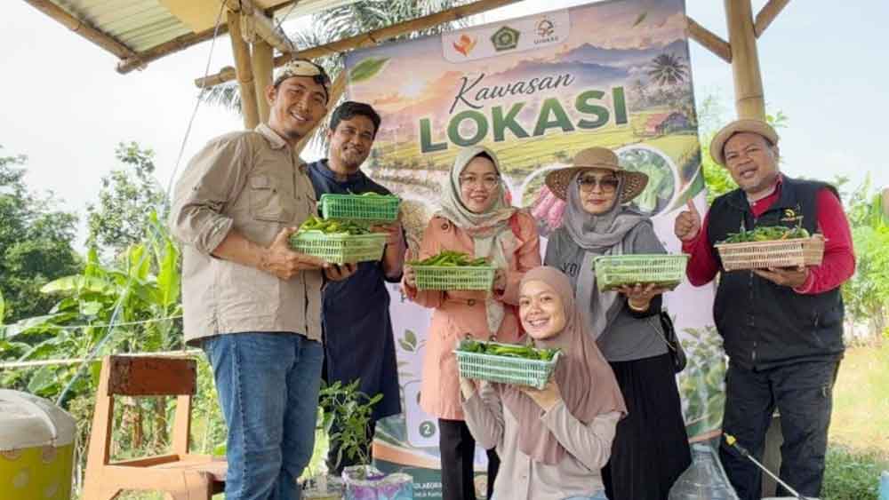 Panen Perdana 1 Ton Cabai Organik, Riset UIN Siber Cirebon Dukung Ketahanan Pangan 1 Panen Perdana 1 Ton Cabai Organik, Riset Uin Siber Cirebon Dukung Ketahanan Pangan