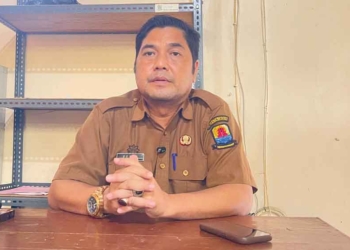 Disarpus Kabupaten Cirebon Akan Kembangkan Layanan Digital