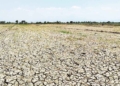 Kemarau Panjang, DLH Kabupaten Cirebon Siaga Hadapi El Nino Godzilla 17 Kemarau Panjang, Dlh Kabupaten Cirebon Siaga Hadapi El Nino Godzilla