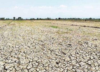 Kemarau Panjang, DLH Kabupaten Cirebon Siaga Hadapi El Nino Godzilla 1 Kemarau Panjang, Dlh Kabupaten Cirebon Siaga Hadapi El Nino Godzilla