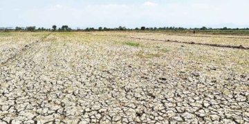 Kemarau Panjang, DLH Kabupaten Cirebon Siaga Hadapi El Nino Godzilla 7 Kemarau Panjang, Dlh Kabupaten Cirebon Siaga Hadapi El Nino Godzilla