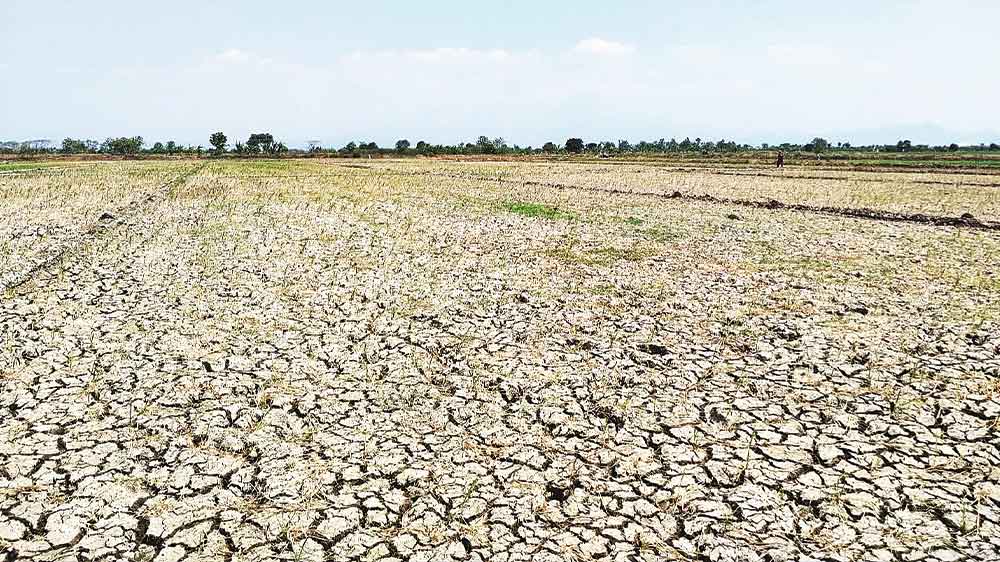 Kemarau Panjang, DLH Kabupaten Cirebon Siaga Hadapi El Nino Godzilla 1 Kemarau Panjang, Dlh Kabupaten Cirebon Siaga Hadapi El Nino Godzilla